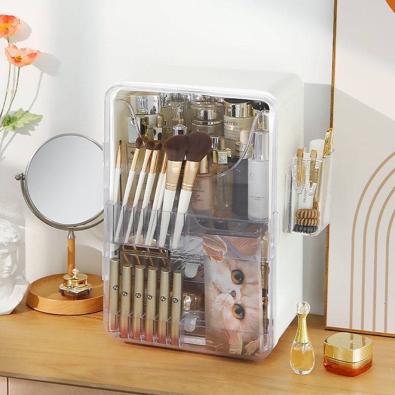 Haixin luxury storage device d – Luxury Skincare Devices Bewertung und Preis